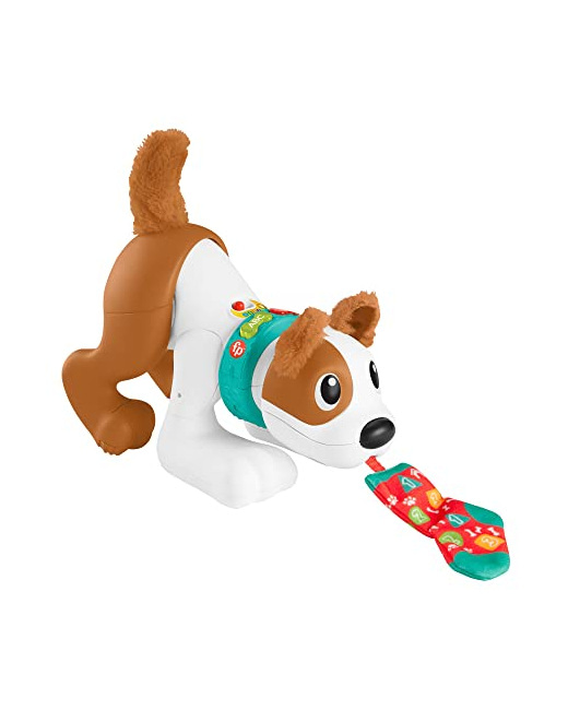 Chiot 123, Rampe avec moi