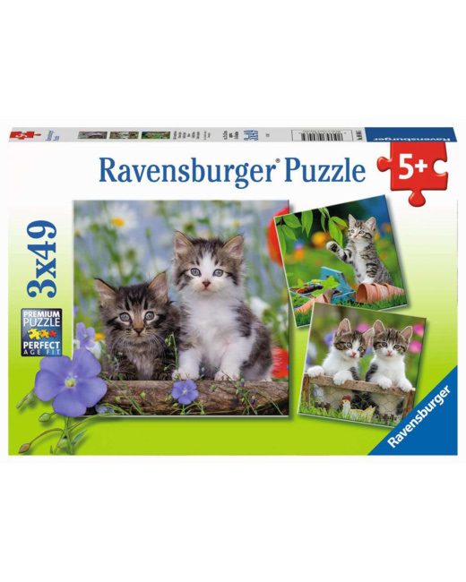 Puzzle Chatons tigrés - de 5 ans