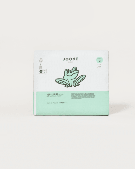 La couche iconique