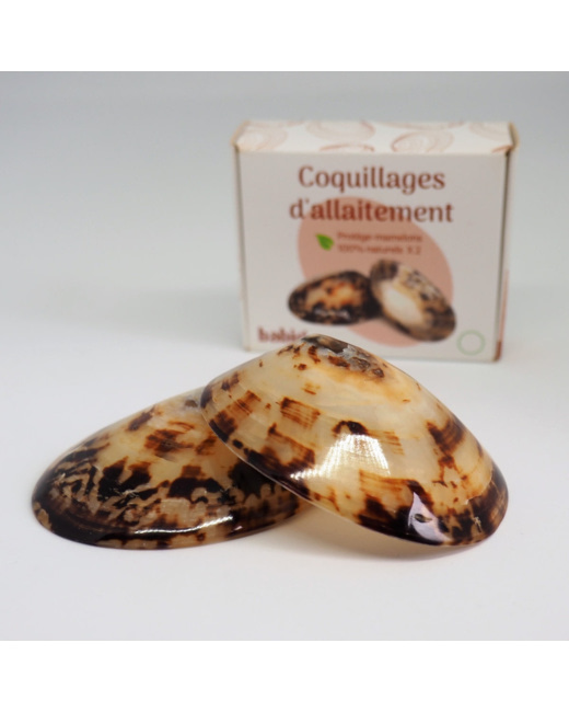 Coquillages d'allaitement