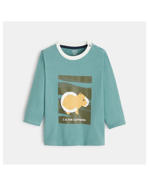 T-shirt capybara