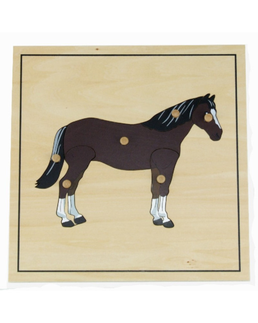 Puzzle du cheval avec squelette