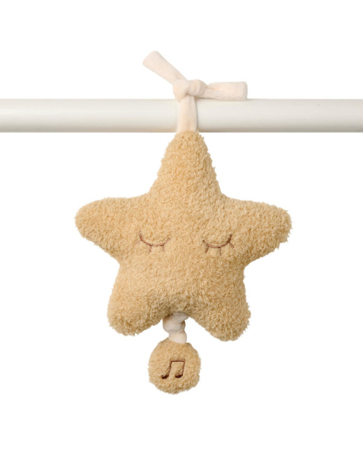 Musical étoile Teddy Bouclette