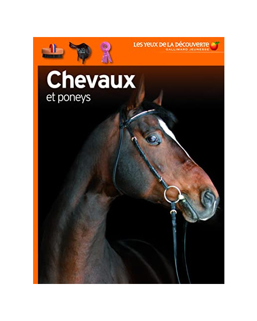 Livre Chevaux Et Poneys