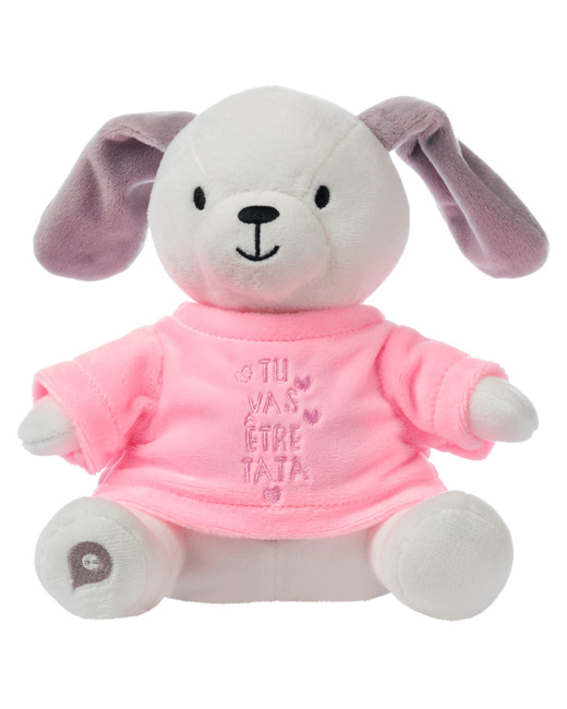 Habillage pour peluche annonce de naissance "tu vas être tata"