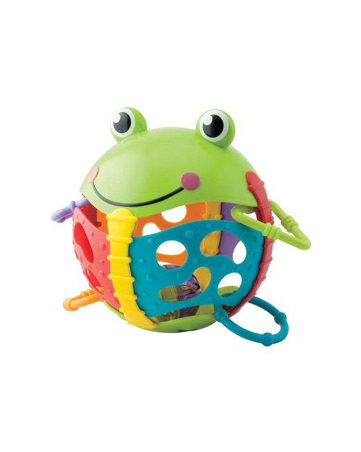 Ma grenouille d'activités