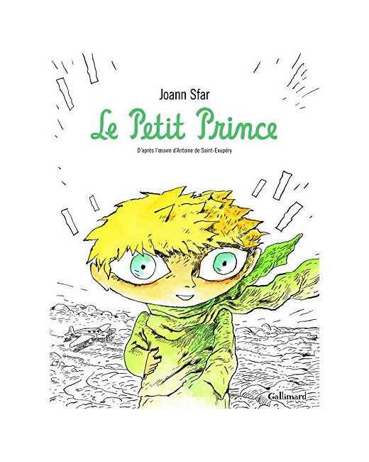 Livre Le Petit Prince