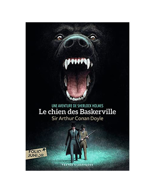 Livre Le Chien Des Baskerville