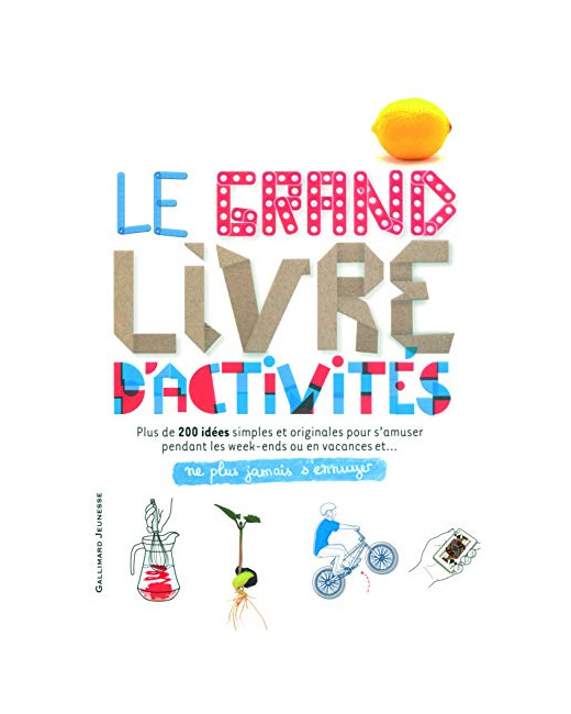 Livre Le Grand Livre D'Activites