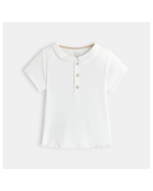 T-shirt polo fines côtes