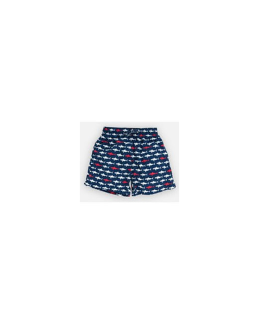 Sharky Daddy Boxer Archimède