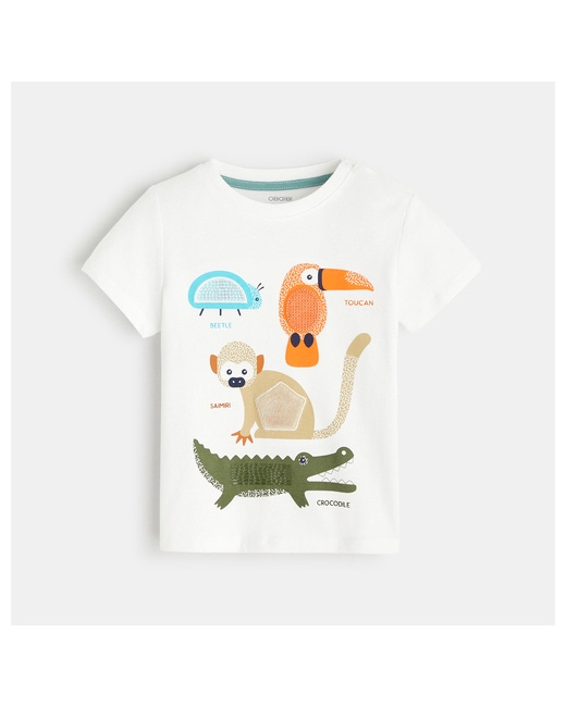 T-shirt imagier