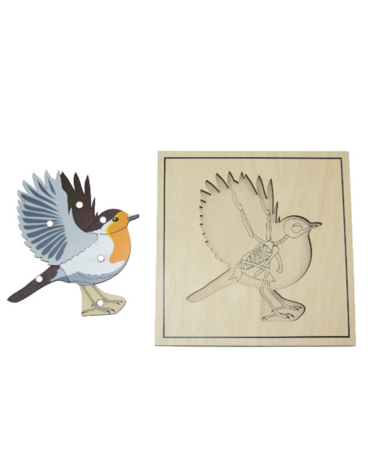 Puzzle de l'oiseau avec squelette