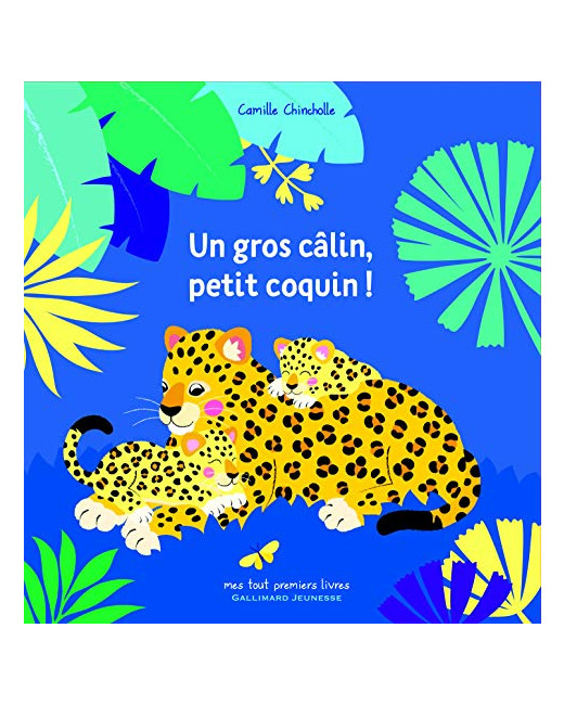 Livre Un Gros Calin, Petit Coquin