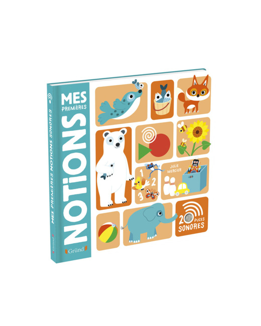 Livre Mes premières notions