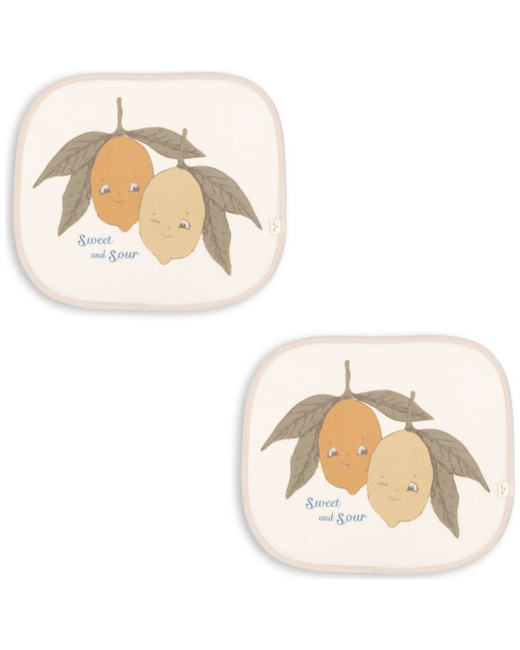 Lot de 2 pare-soleil