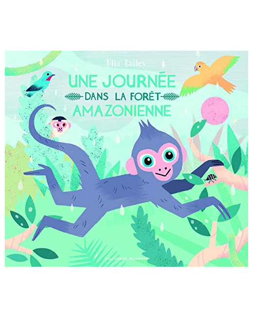 Livre Une Journee Dans La Foret Amazonienne
