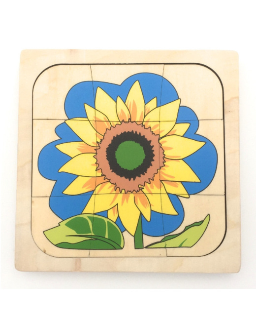 Puzzle cycle de vie du tournesol