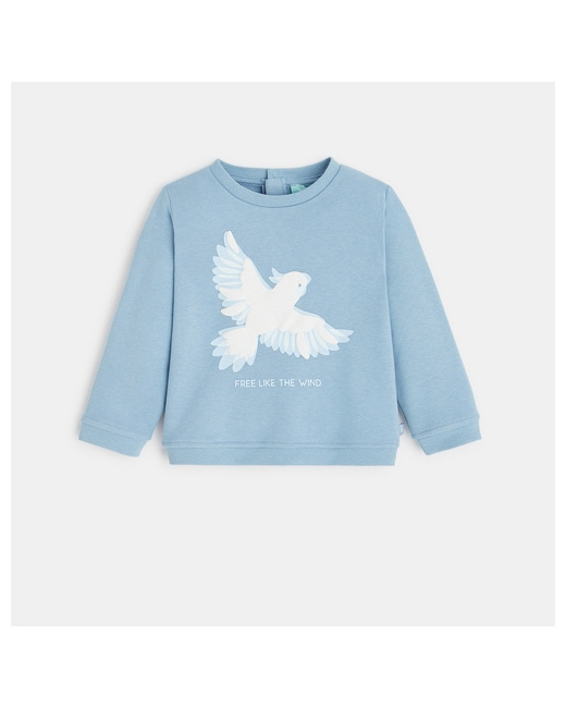 Sweat molleton bleu perroquet