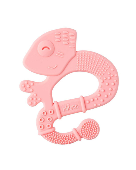 Anneau Dentition Iguane 2m+