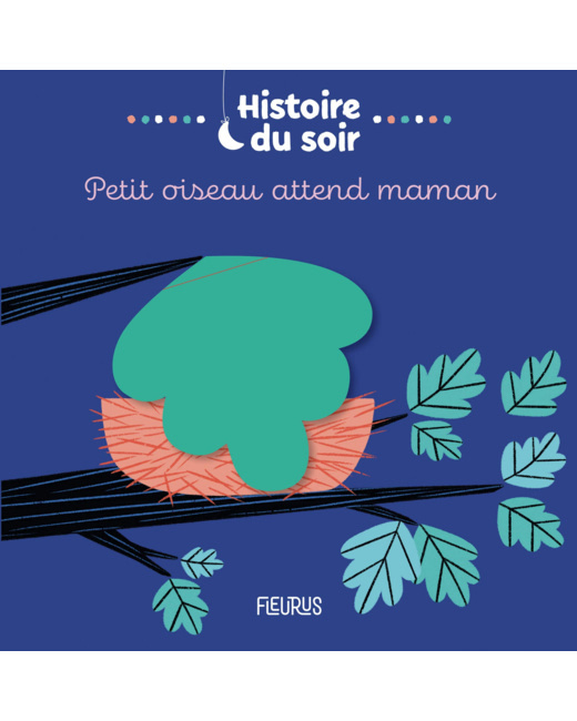 Livre Petit oiseau attend maman