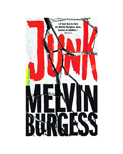 Livre Junk