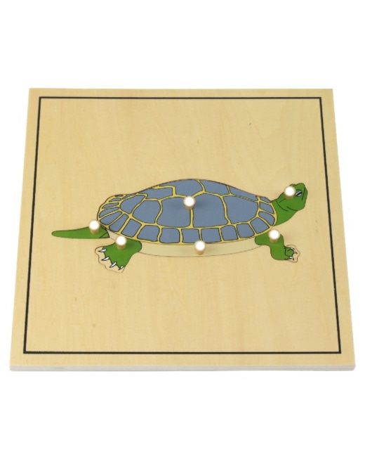Puzzle de la tortue avec squelette