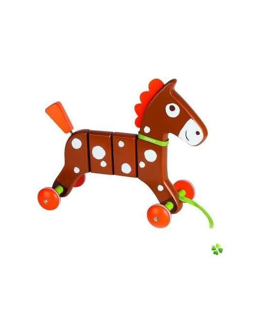Crazy Pony