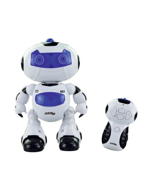 Mini Robot