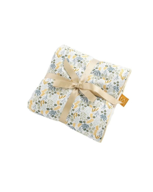 Couverture Promenons-nous