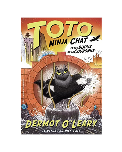 Livre Toto Ninja Chat Et Les Bijoux De La Couronne
