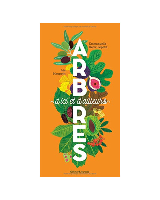 Livre Arbres D'Ici Et D'Ailleurs