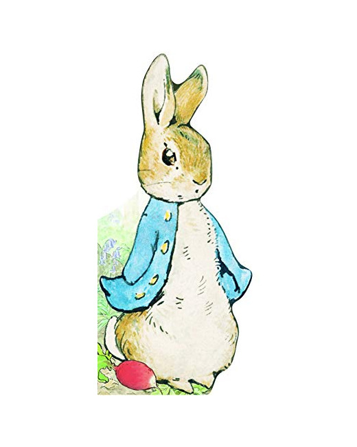 Livre Bonjour, Pierre Lapin