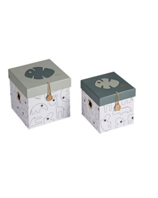 Lot de 2 boîtes de rangement Tiny Tropics