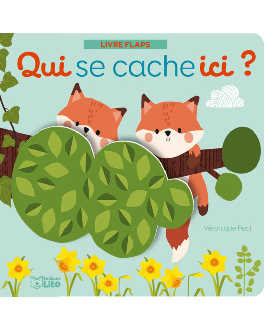 Livre Qui se cache ici ?