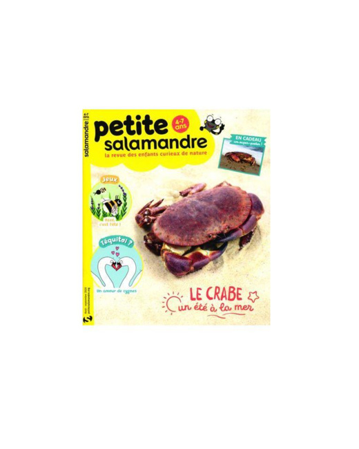 La petite salamandre