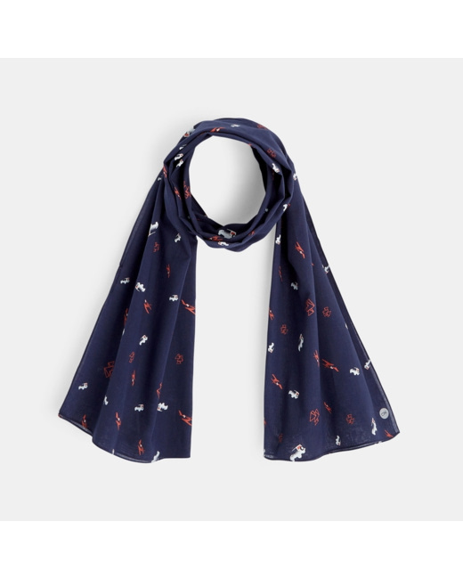 Foulard coton imprimé explorateur garçon