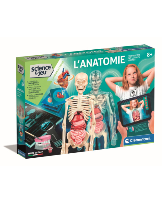 L'anatomie