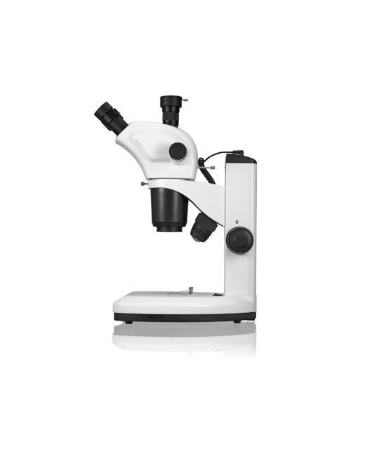 Loupe binoculaire