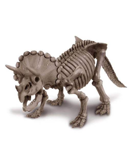 Coffret découverte de la science - Déterre ton triceratops