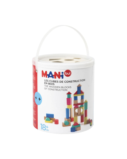 100 blocs de construction en bois