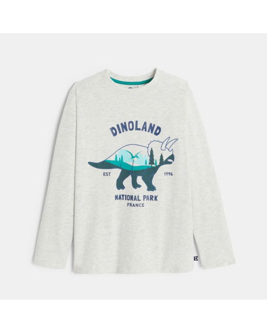 T-shirt manches longues motif dinosaure gris garçon