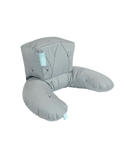 Coussin de Landau