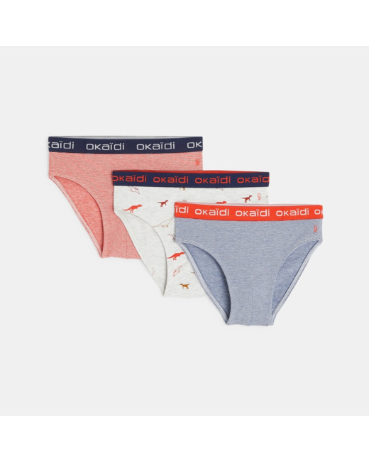 Slips en jersey (lot de 3) garçon