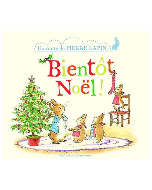 Livre Bientot Noel