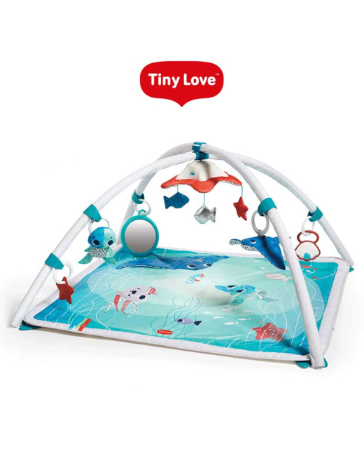 Tiny Love Sunny Day Tapis d'Eveil Bébé Musical, Arches ajustables, Dès la  naissance - Bleu - Kiabi - 56.99€