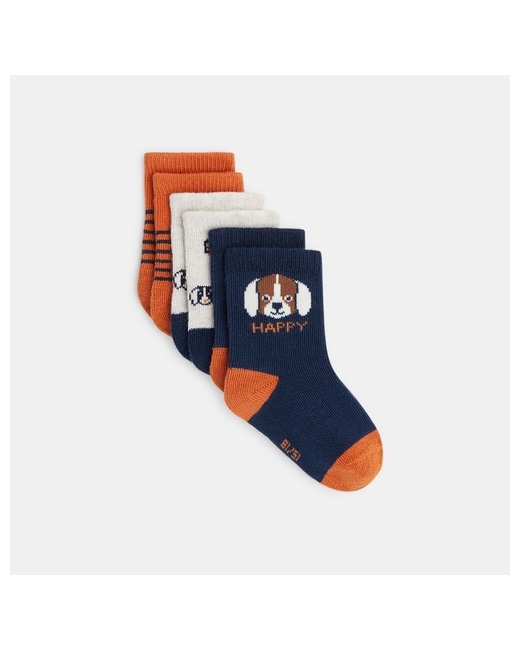 Chaussettes fantaisie (lot de 3)