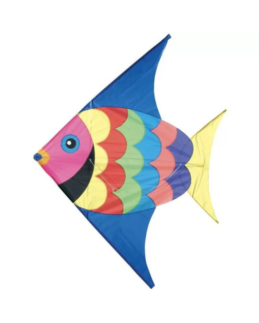 Cerf-volant Poisson