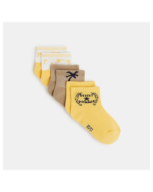 Chaussettes palmiers (lot de 3)