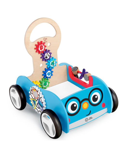 Chariot Buggy Aventure Baby Einstein